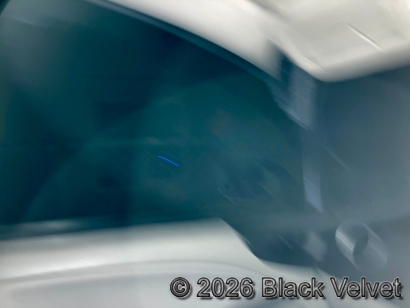 車内に入り込む黒い影