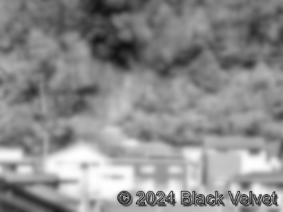 崩落する前の斜面と住宅街