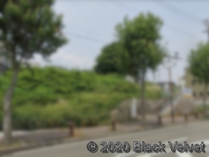 N共同墓地