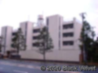 両度町住宅