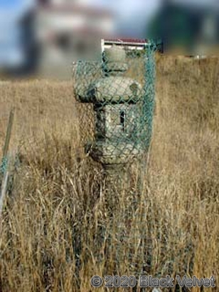 空き地に建つ石燈篭