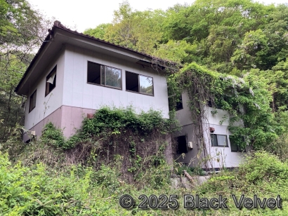 雑草に埋もれた二軒の廃屋