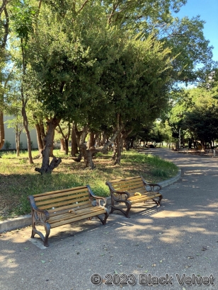 住之江公園のベンチ