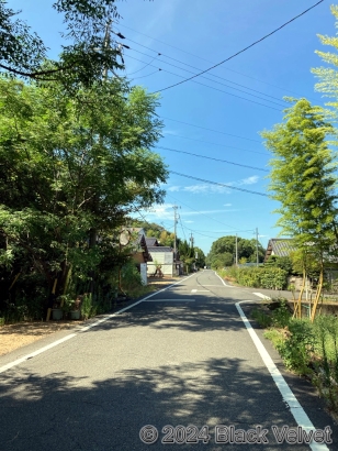 八神街道