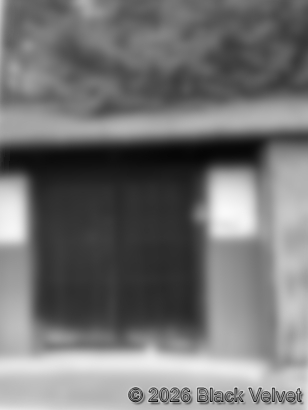 住職がいなくなり荒廃したお寺